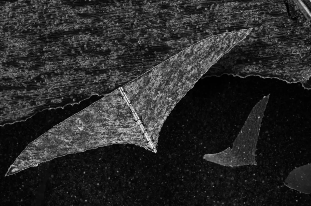 Smarter Fins: AI Optimizes Biohybrid Rays for Peak Efficiency