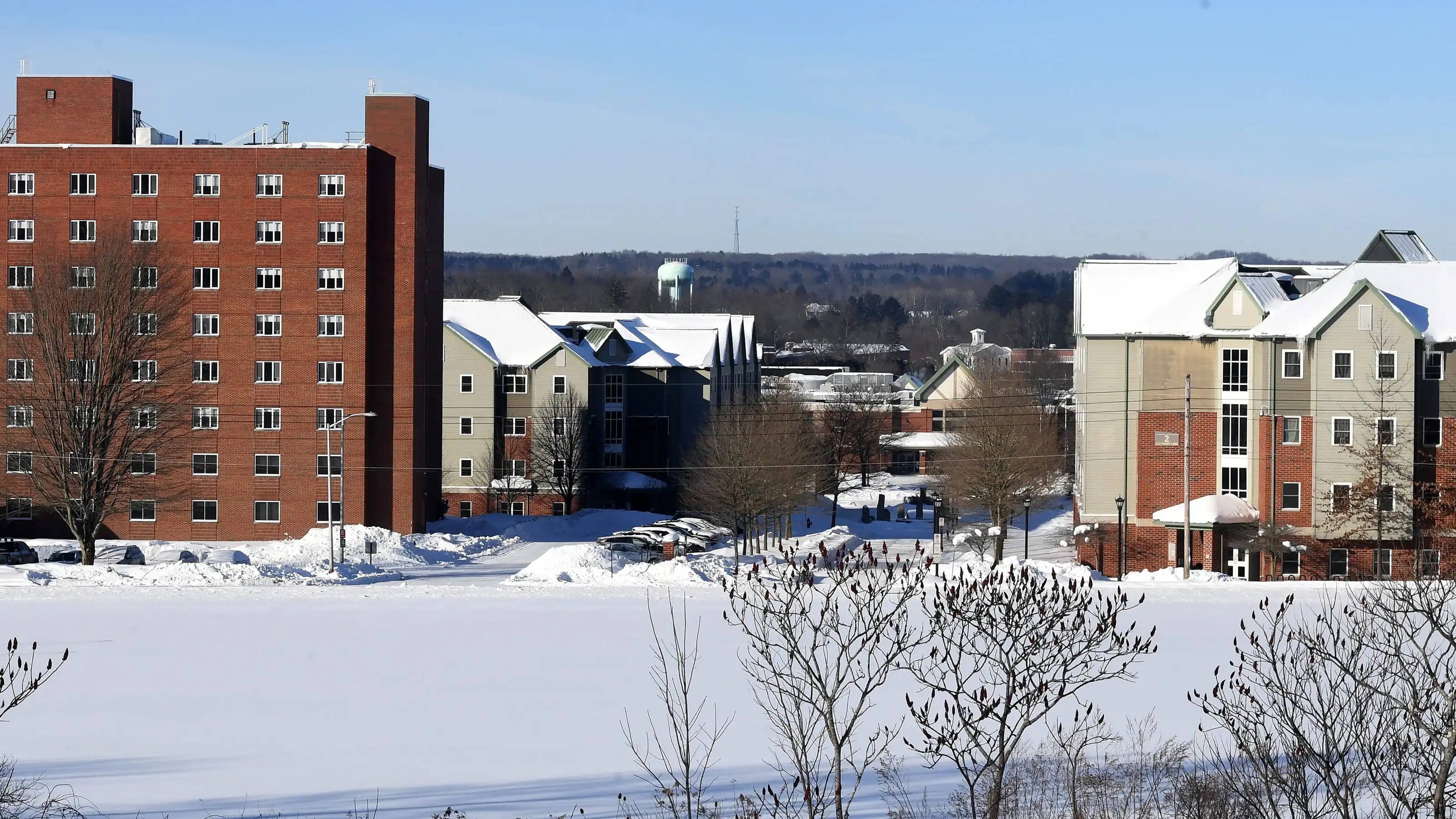 AI in education: How faculty are learning to use, teach the technology