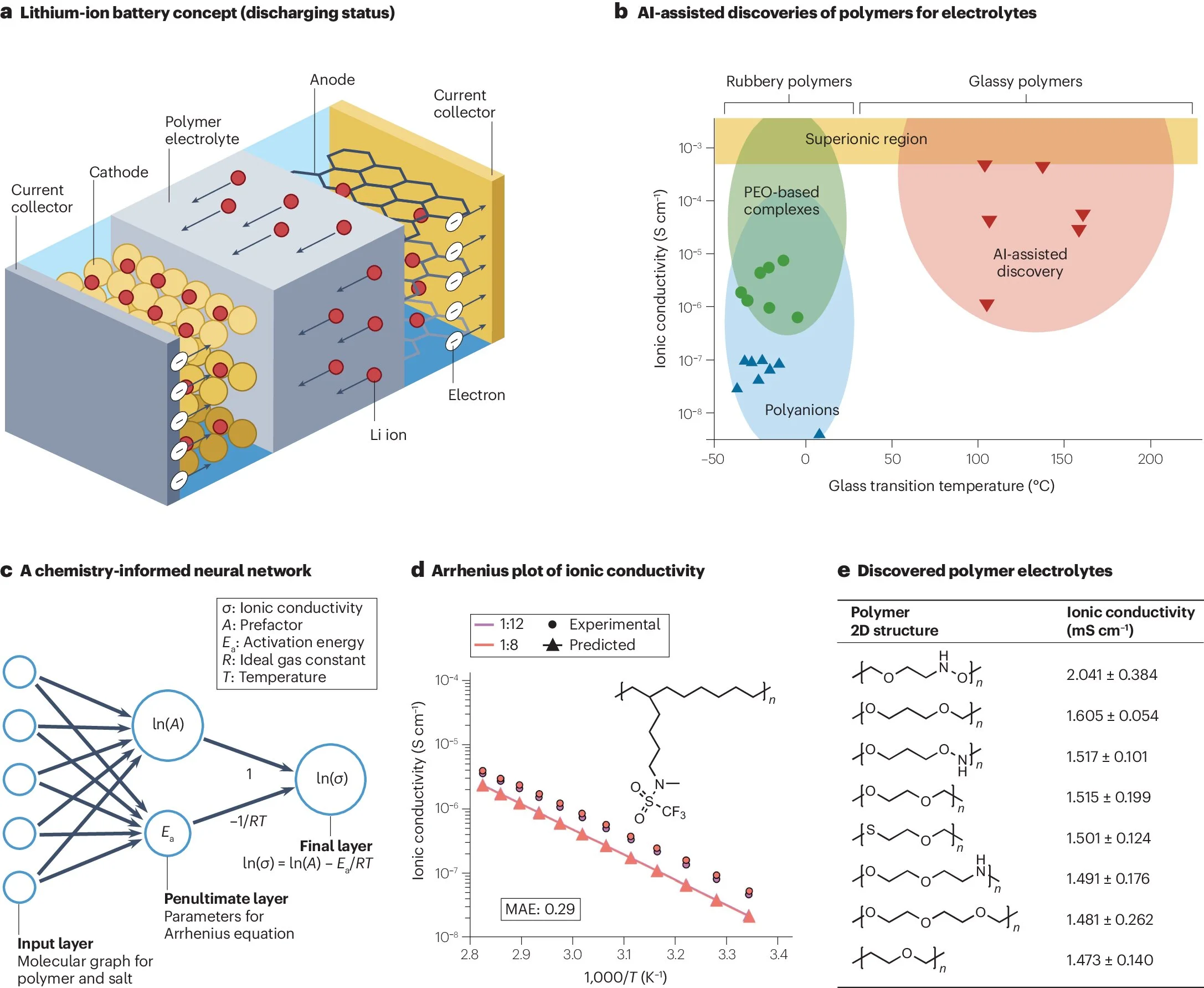 Using AI to find the polymers of the future