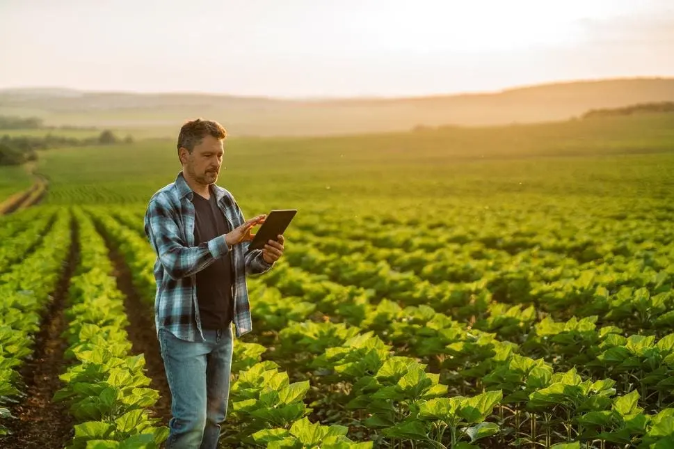 From Farm To Future: AI Automation For The Food Supply Chain